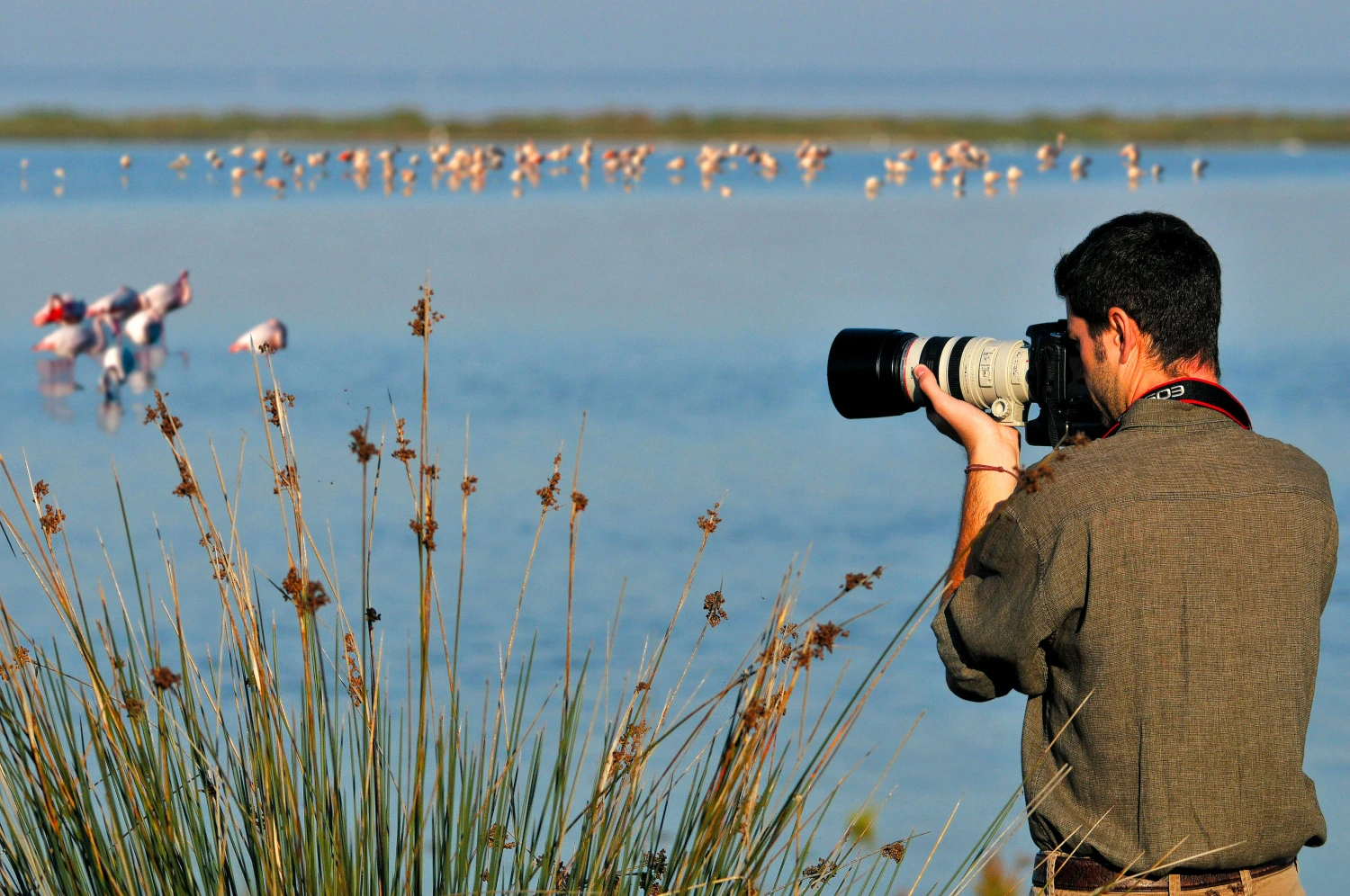 Bird Watching